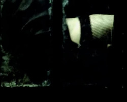 Alain Bashung - La Nuit Je Mens