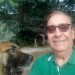 Photo de Aldo, Homme 65 ans, de Perpignan Languedoc-Roussillon