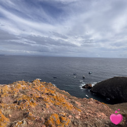 Photo de Didine13, Femme 51 ans, de Domont Île-de-France