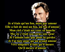 Johnny Hallyday - Requiem pour un fou