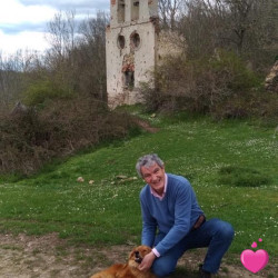 Photo de Justo10, Homme 69 ans, de Calais Nord-Pas-de-Calais
