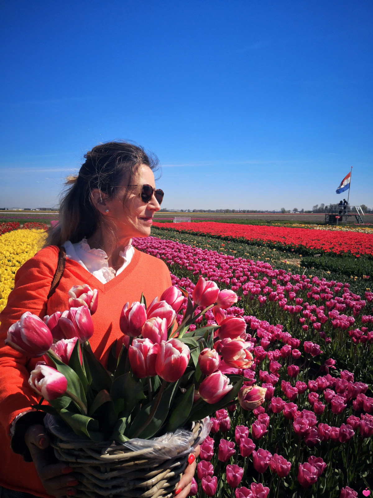 <p>Pays-Bas / Amsterdam / 2022</p>