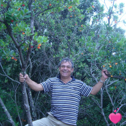 Photo de angemarconi, Homme 66 ans, de Issoire Auvergne